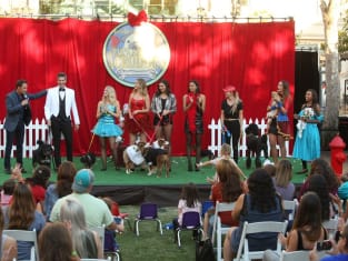 The bachelor season 22 episode 3 watch online discount