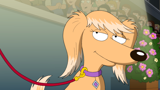 Family Guy Season 16 Episode 10 Review Boy Dog Meets Girl Dog Tv Fanatic