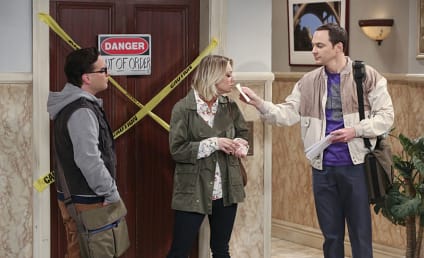 Watch The Big Bang Theory Online: Season 9 Episode 14