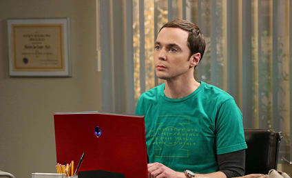 The Big Bang Theory: Watch Season 7 Episode 17 Online