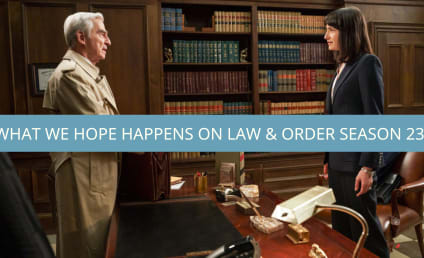 Law & Order Season 23: Where We Left Off And What Should Happen Now?