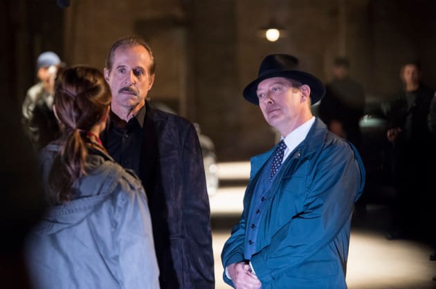 The blacklist sale season 8 online