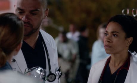 Grey's anatomy season 13 top episode 24 watch online