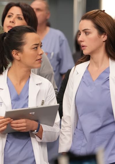 On Sam's Case? - tall - Grey's Anatomy Season 19 Episode 18