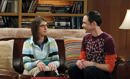 The Big Bang Theory Review: "The Desperation Emanation"