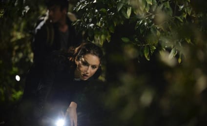 Pretty Little Liars Season 5 Episode 15 Review: Fresh Meat