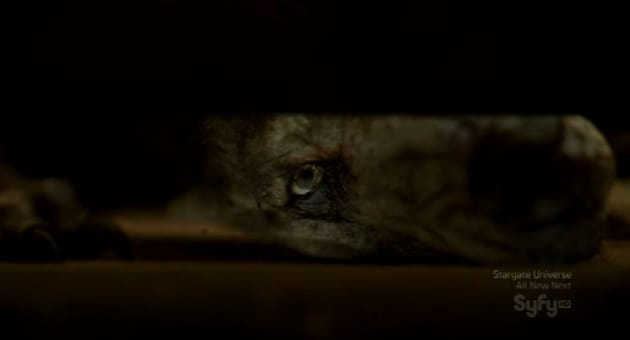 WereJosh