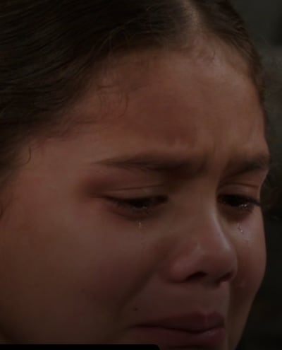Little Girl Separated - Law & Order: SVU