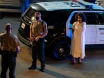 Lola Is Arrested - All Rise