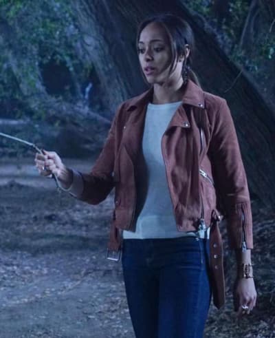 Ghosted Fox 1