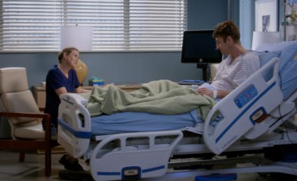 Grey's Anatomy Season 14 Episode 17 Review: One Day Like This