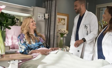 Grey's Anatomy Season 14 Episode 16 Review: Caught Somewhere in Time