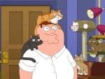 A Cat Cafe - Family Guy
