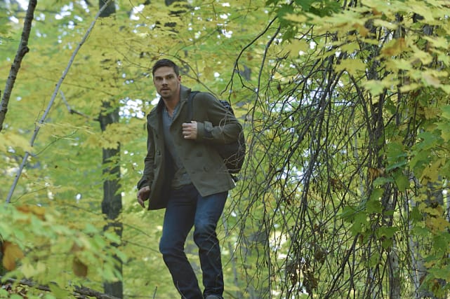 Beauty and The Beast -- Will Vincent succeed?