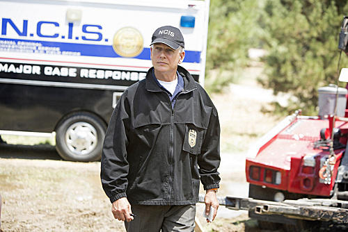 Special Agent L.J. Gibbs
