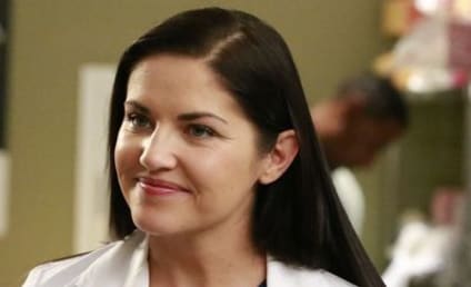 Grey's Anatomy Season 13 Episode 13 Review: It Only Gets Much Worse