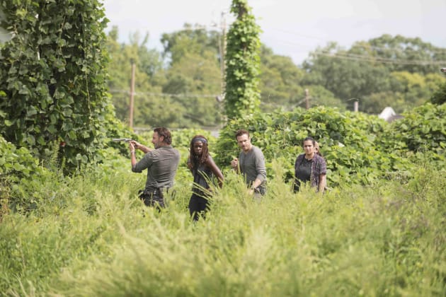 In the Jungle - The Walking Dead