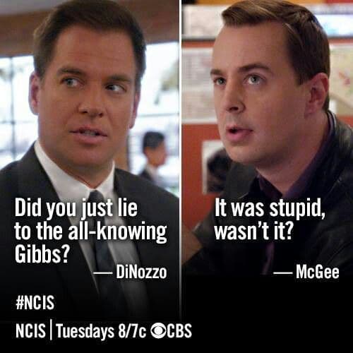 Lying to Gibbs