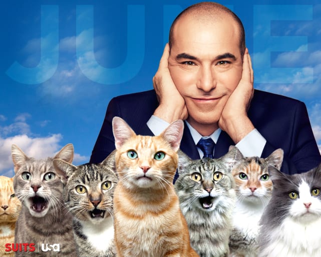 2015 Louis Litt Calender TV Fanatic