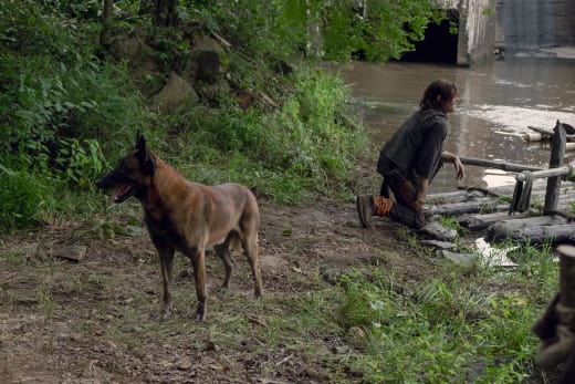 Daryl's Best Friend - The Walking Dead Season 9 Episode 7