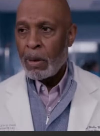 Webber desorientado - Anatomía de Grey Temporada 20 Episodio 6