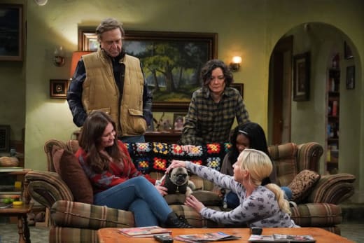 Dan Fosters a Dog - The Conners