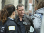 Voight Returns