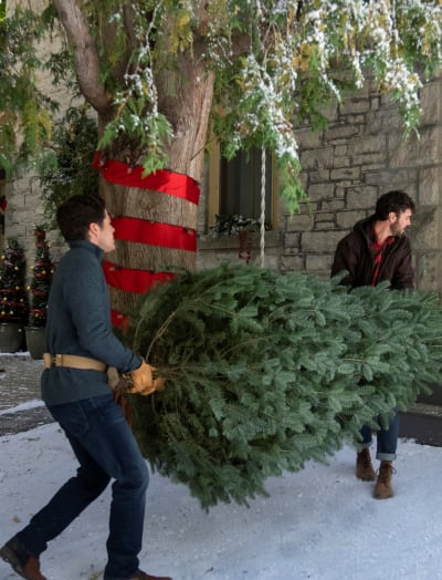 Tree Struggles - The Christmas Setup