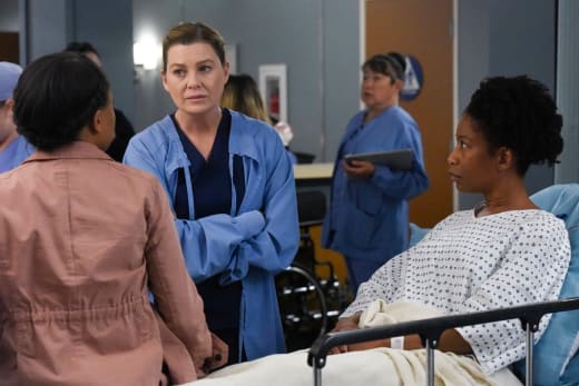 Grey s Anatomy Season 16 Episode 18 Review Give a Little Bit TV