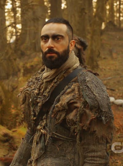 nelsonseason6