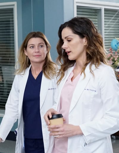 The Ladies of DeLuca's Life - Tall  - Grey's Anatomy Season 16 Episode 14