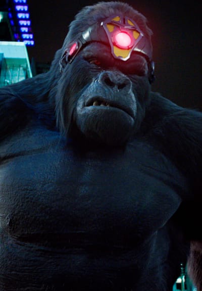 The Flash Season 5 Episode 15 Review King Shark vs. Gorilla Grodd