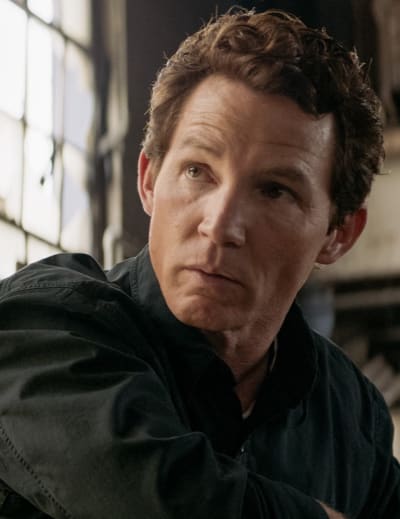 Animal kingdom season 3 free online outlet