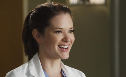 Grey's Anatomy: Sarah Drew Talks Potential Final Season Return 