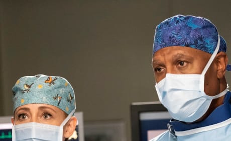 Grey s Anatomy Season 15 Episode 14