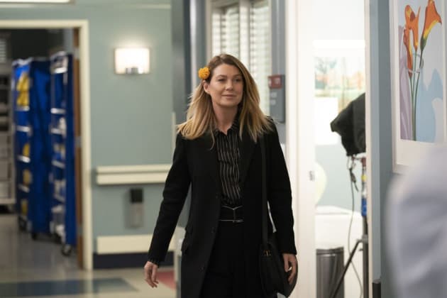 Remembering Loved Ones - Tall - Grey's Anatomy Season 15 Episode 6