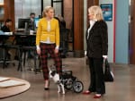 Adopt a Dog - Murphy Brown