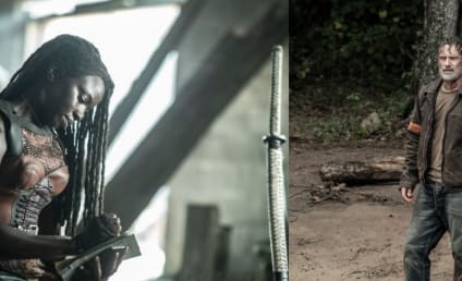 The Walking Dead: The Ones Who Live Teaser Reunites Andrew Lincoln and Danai Gurira for a Battle With the CRM