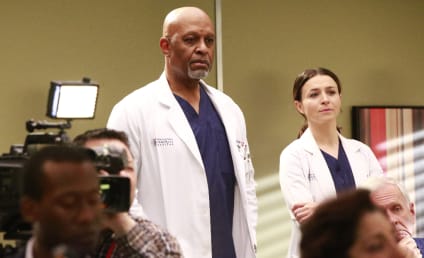 Watch Grey's Anatomy Online: Season 13 Episode 21