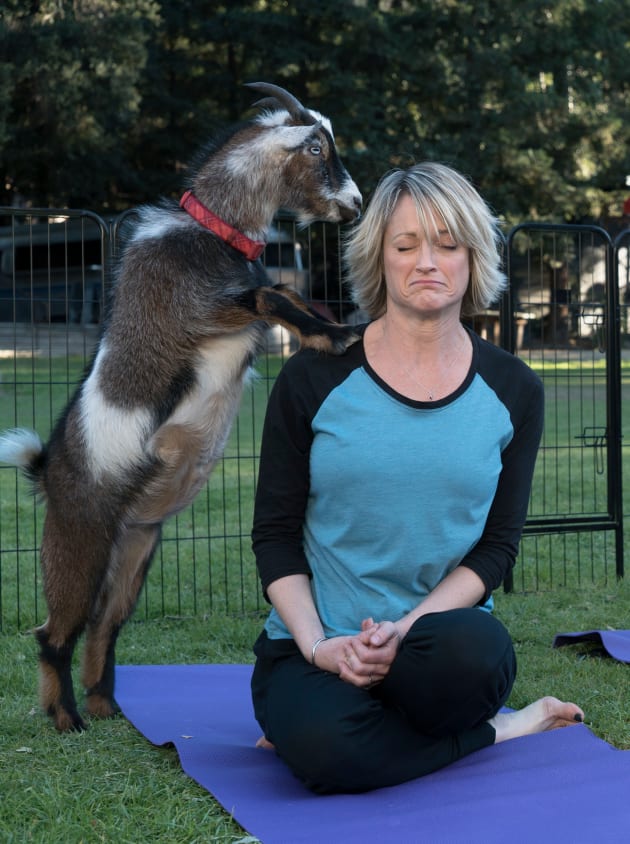 Goat Yoga - The Fosters Season 5 Episode 18