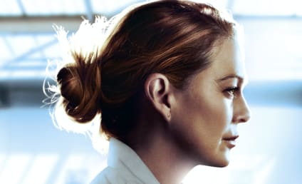 Grey S Anatomy Season 17 Tv Fanatic