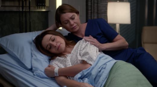 Grey s Anatomy Season 14 Episode 3 Review Go Big or Go Home TV