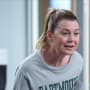 Mer's Theory  - Grey's Anatomy Season 19 Episode 19