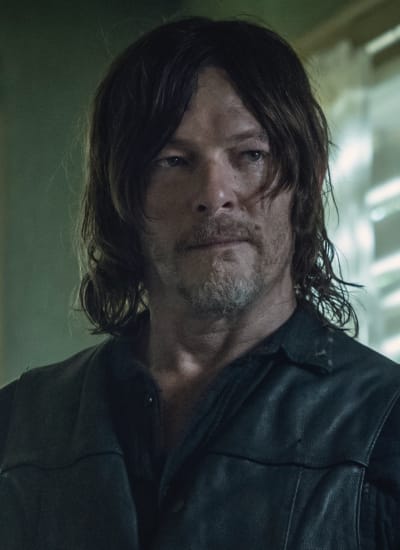 The walking dead sales season 11 online