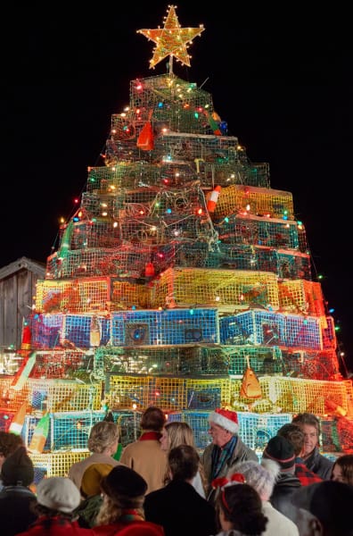 Christmas Island Christmas Tree