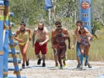 A Food Reward - Survivor
