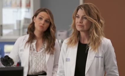 Grey's Anatomy Season 14 Episode 14 Review: Games People Play