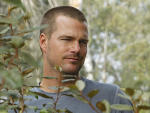 G. Callen Image