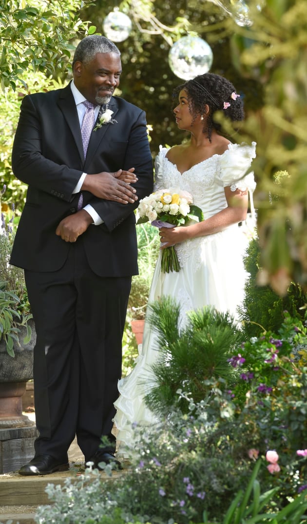 Wedding shop belles bridal