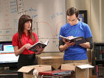 Sheldon Hires an Assitant